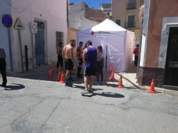 PREVENTIVO CHINCHILLA 05-2019